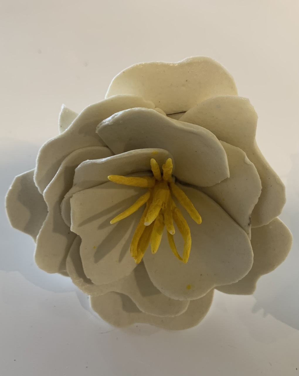 Jillian Porteous |Flower 2 | McAtamney Gallery and Design Store | Geraldine NZ